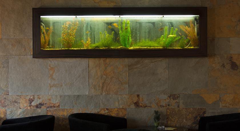 Гостиница International Hotel Sayen Иркутск-29