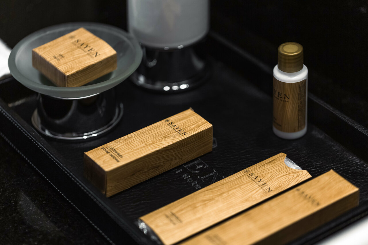 Гостиница Sayen Иркутск-19