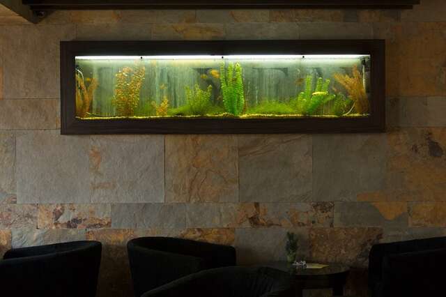 Гостиница Sayen Иркутск-31